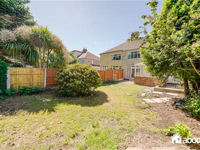 Picture 25
